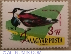3 Forint 1961 - Northern Lapwing (Vanellus vanellus)