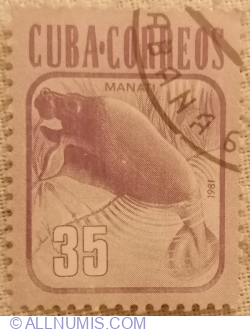 Image #1 of 35 Centavos 1981 - West Indian Manatee (Trichechus manatus