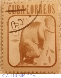 Image #1 of 5 Centavos 1981 - Desmarest's Hutia (Capromys pilorides)