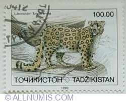 100 Roubles 1993 - Snow Leopard (Uncia uncia)
