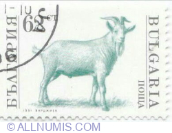 Image #1 of 62 Stotinki 1991 - Goat (Capra hircus)