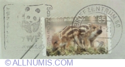 85 Eurocent 2017 - Wild boar (Sus scrofa)
