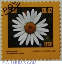 Image #1 of 0,30 Kroon / 0.02 €  2007 - Oxeye Daisy (Leucanthemum vulgare)