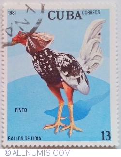 Image #1 of 13 Centavos 1981 - Pinto (Cocoș de luptă)