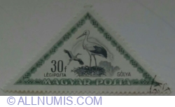30 Fillér 1952 - White Stork (Ciconia ciconia)