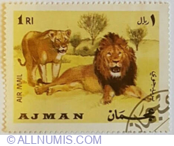 Image #1 of 1 Rial - Lion