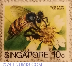 10 Cent 1985 - Asiatic Honey Bee (Apis cerana javana)