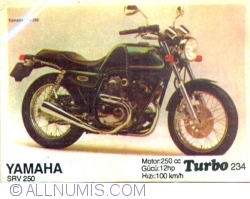 Image #1 of 234 - Yamaha SRV 250