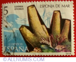 5 Pesetas 1979 - Bath Sponge (Euspongia offcinalis)