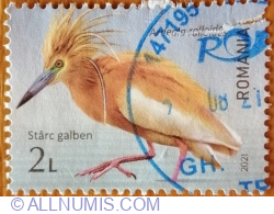 Image #1 of 2 Lei - Squacco Heron (Ardeola ralloides)
