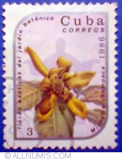 3 ¢ 1986 - Michelia champaca