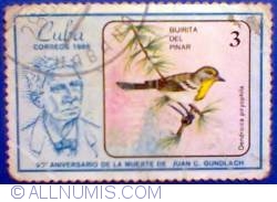 3 peso 1986 - 90' aniversario de la muerte de Juan C. Gundlach - Dentroica pityophila