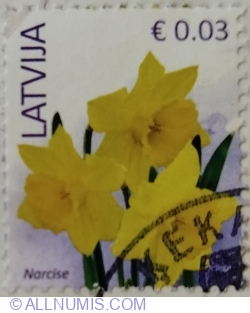 Image #1 of 0,03 Euro 2016 - Wild Daffodil (Narcissus pseudonarcissus)