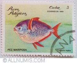 Image #1 of 3 Centavos 1981 - Moonfish (Lampris regius)