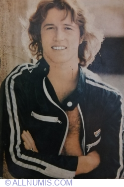Image #1 of Andy Gibb
