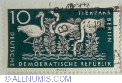 10 Pfennig 1956 - Greater Flamingo (Phoenicopterus ruber roseus)