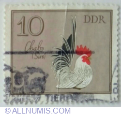 10 Pfennig 1979 - Chabo Siro (Gallus gallus domesticus)