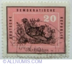 20 Pfennig 1959 - Black Grouse (Lyrurus tetrix)
