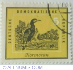 5 Pfennig 1959 - Great Cormorant (Phalacrocorax carbo)