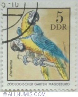 5 Pfennig 1975 - Blue-and-yellow Macaw (Ara ararauna)