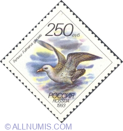 250 ruble 1993 - Northern Fulmar (Fulmarus glacialis)