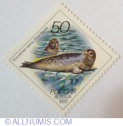 50 ruble 1993 - Ringed Seal (Pusa hispida)
