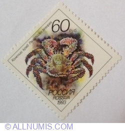 Image #1 of 60 ruble 1993 - Spiny King Crab (Paralithodes brevipes)