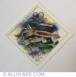90 ruble 1993 - Japanese Common Squid (Todarodes pacificus)
