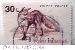 Image #1 of 30 Lei 1993 - Vulpes vulpes