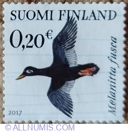 0,20 Euro 2017 - Velvet Scoter (Melanitta fusca)