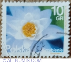 10 Grosz 2015 - Water Lilies (Nymphaea L.)
