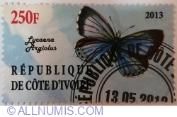 250 Franci 2013 - Lycaena Argiolus - Illegal Issue