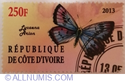 250 Franci 2013 - Lycaena Arion - Illegal Issue