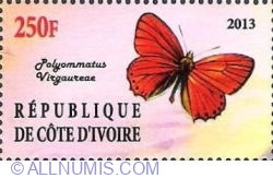 250 Franci 2013 - Polyommatus Virgaureae - Illegal Issue