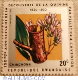 Image #1 of 20 Centime 1970 - Cinchona bark