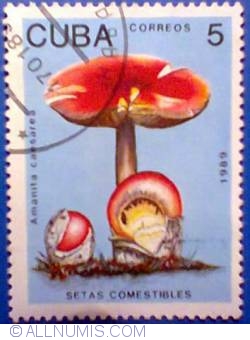 Image #1 of 5 Centavos 1989 Cuba - Amanita caesarea - Ciuperci comestibile
