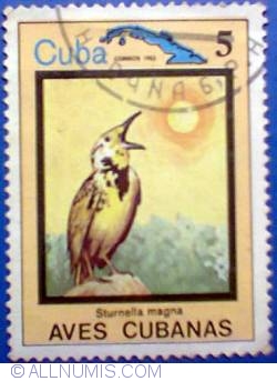 5 Pesos 1983 - Sturnella magna