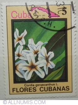 5¢ 1983 - Cordia gerascanthus L.