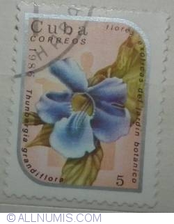 5 Pesos 1986 - Thunbergia grandiflora