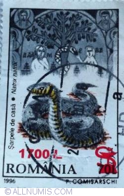 70 Lei - House snake (Natrix Natrix) - overprint 1700 Lei
