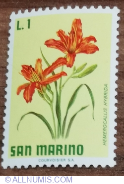 1 Lira 1971 - Daylily (Hemerocallis hybrida)