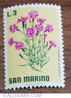 3 Lire 1971 - Cottage Pink (Dianthus plumarius)
