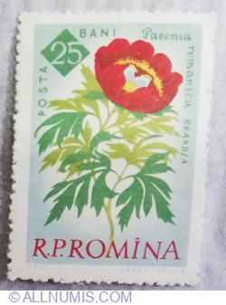 25 Bani - Paeonia romanica
