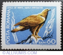 Image #1 of 60 Bani 1968 - Aquila chrysaetos
