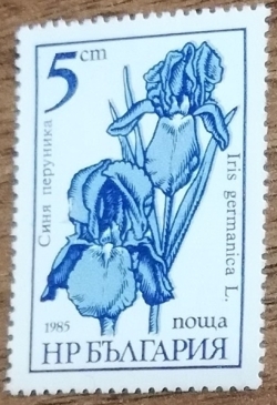 Image #1 of 5 Stotinka 1985 - Iris Germanica L.