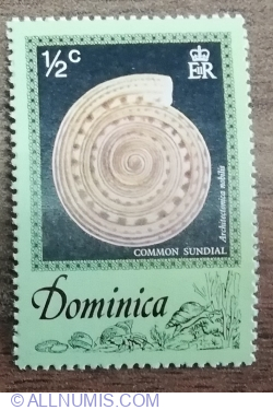 1/2 Cent 1976 - Sea Shells - Common Sundial (Architectonica nobilis)