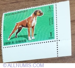 1 Riyal 1967 - Dogs -  German Boxer (Canis lupus familiaris)
