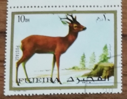 Image #1 of 10 Dirham 1972 -  Animals - Roe Deer (Capreolus capreolus)