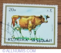 Image #1 of 20 Dirham 1972 - Animals - Cow (Bos primigenius taurus)