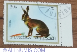 Image #1 of 30 Dirham 1972 -  Animals - European Hare (Lepus europaeus)